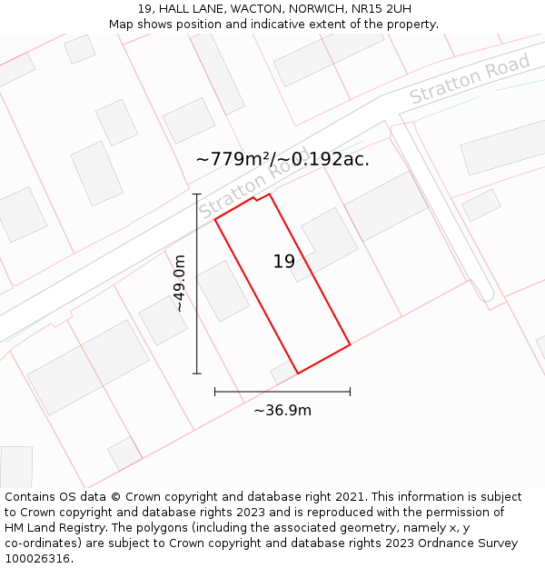 19, HALL LANE, WACTON, NORWICH, NR15 2UH: Plot and title map