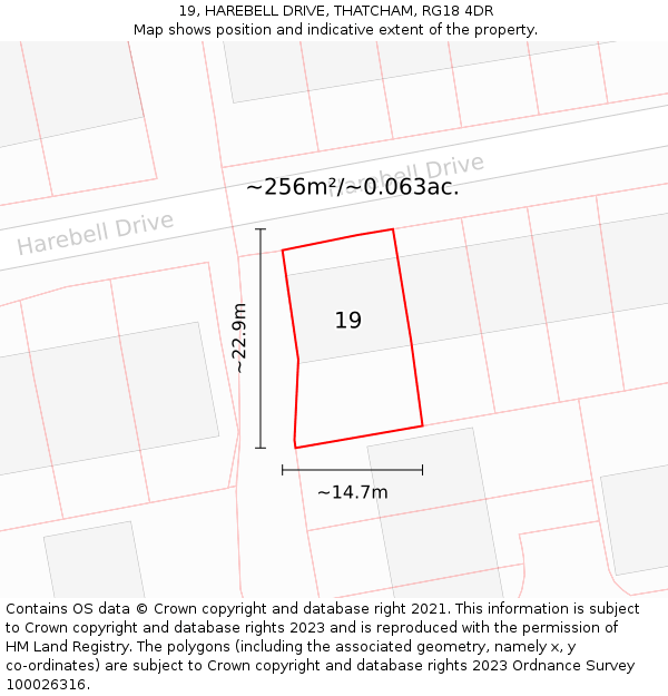 19, HAREBELL DRIVE, THATCHAM, RG18 4DR: Plot and title map