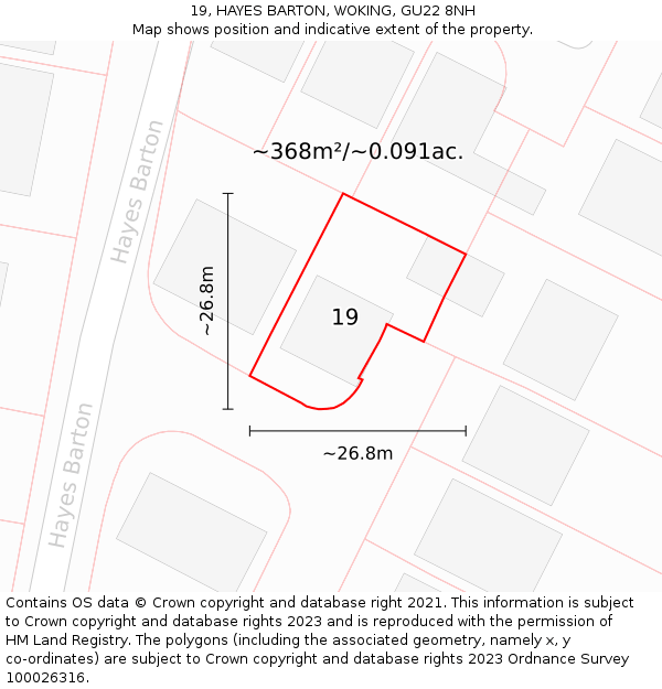 19, HAYES BARTON, WOKING, GU22 8NH: Plot and title map