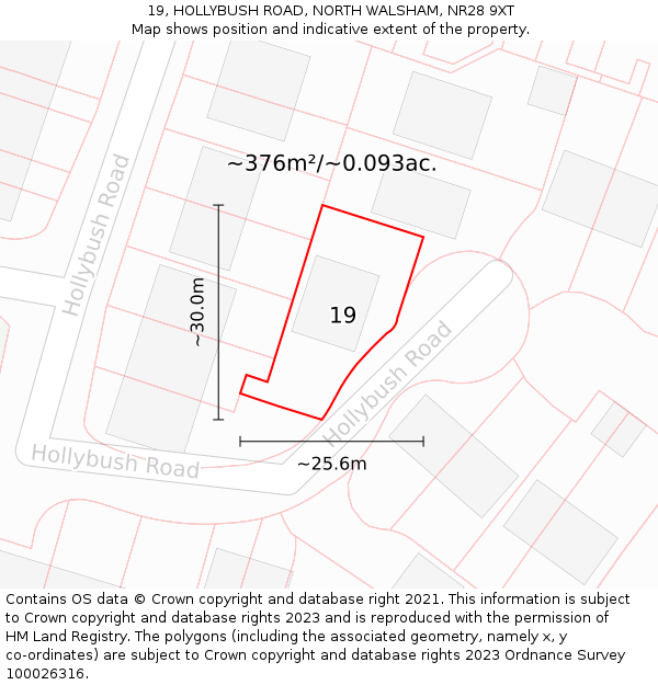 19, HOLLYBUSH ROAD, NORTH WALSHAM, NR28 9XT: Plot and title map