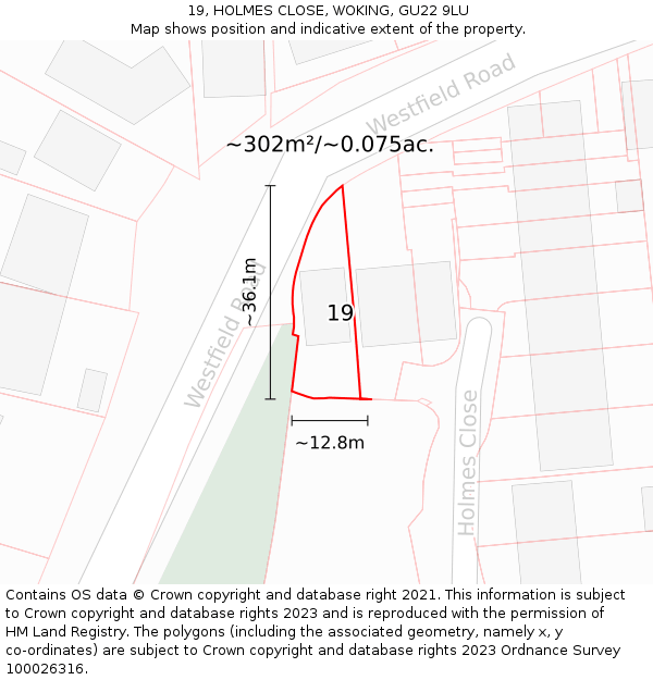 19, HOLMES CLOSE, WOKING, GU22 9LU: Plot and title map