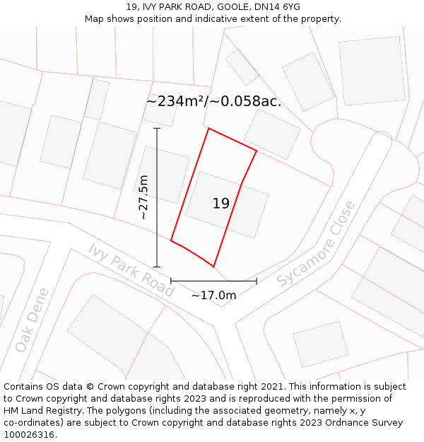 19, IVY PARK ROAD, GOOLE, DN14 6YG: Plot and title map