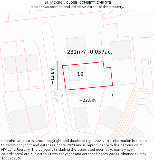 19, JACKSON CLOSE, CONSETT, DH8 5YE: Plot and title map
