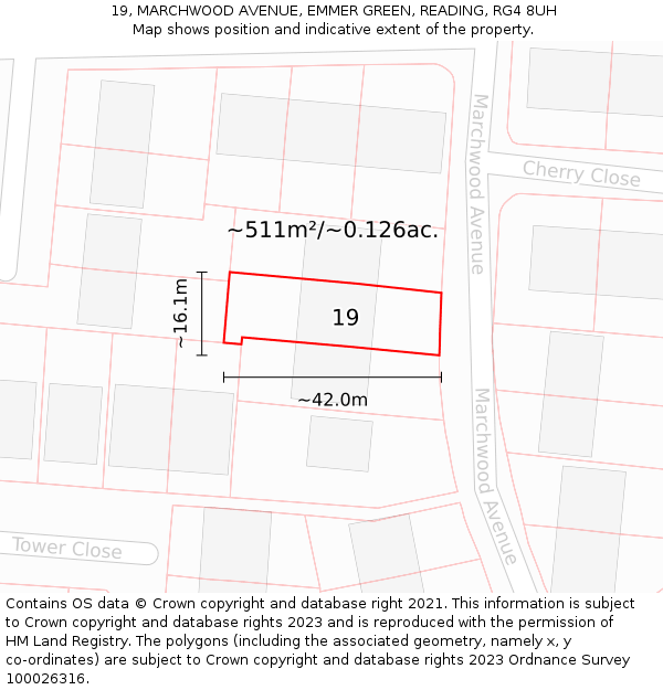19, MARCHWOOD AVENUE, EMMER GREEN, READING, RG4 8UH: Plot and title map