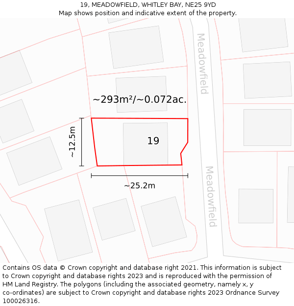 19, MEADOWFIELD, WHITLEY BAY, NE25 9YD: Plot and title map