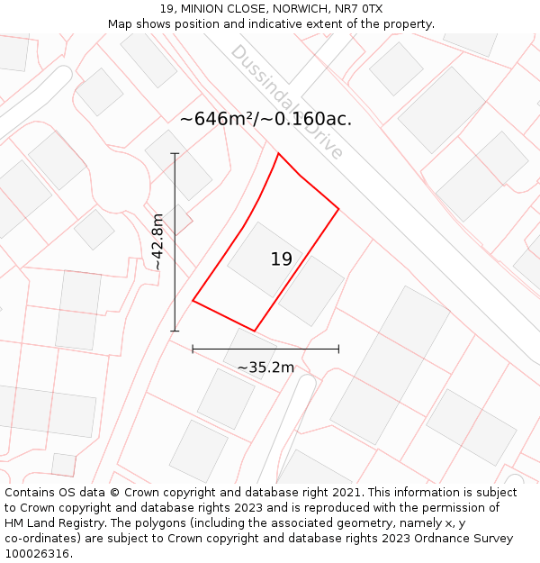 19, MINION CLOSE, NORWICH, NR7 0TX: Plot and title map