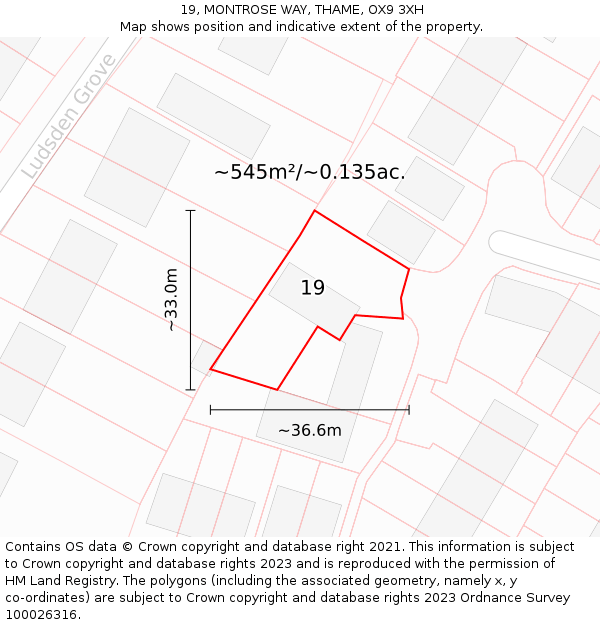 19, MONTROSE WAY, THAME, OX9 3XH: Plot and title map