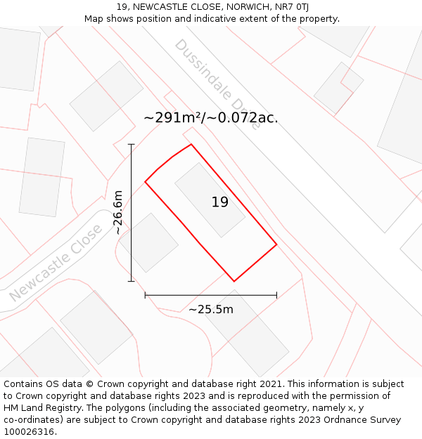 19, NEWCASTLE CLOSE, NORWICH, NR7 0TJ: Plot and title map