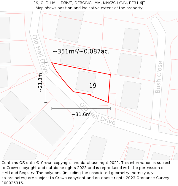 19, OLD HALL DRIVE, DERSINGHAM, KING'S LYNN, PE31 6JT: Plot and title map