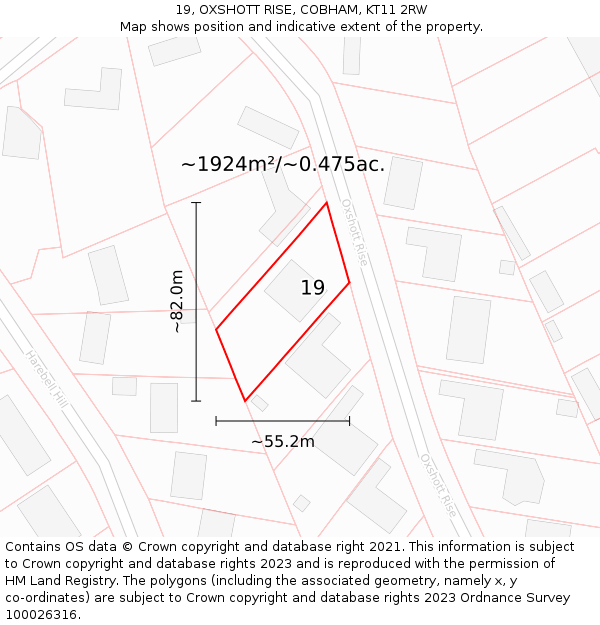 19, OXSHOTT RISE, COBHAM, KT11 2RW: Plot and title map