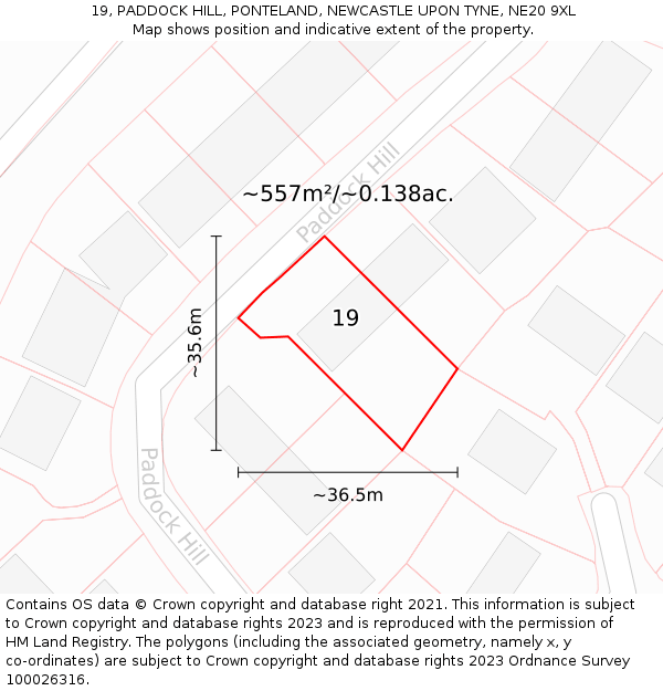 19, PADDOCK HILL, PONTELAND, NEWCASTLE UPON TYNE, NE20 9XL: Plot and title map