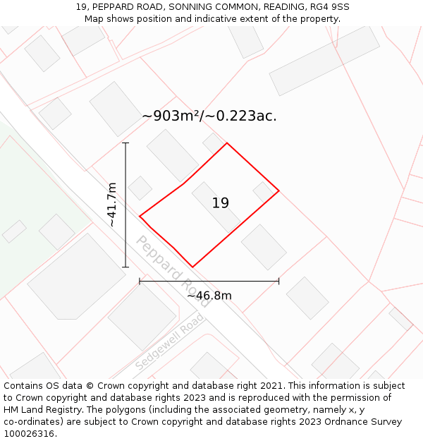 19, PEPPARD ROAD, SONNING COMMON, READING, RG4 9SS: Plot and title map