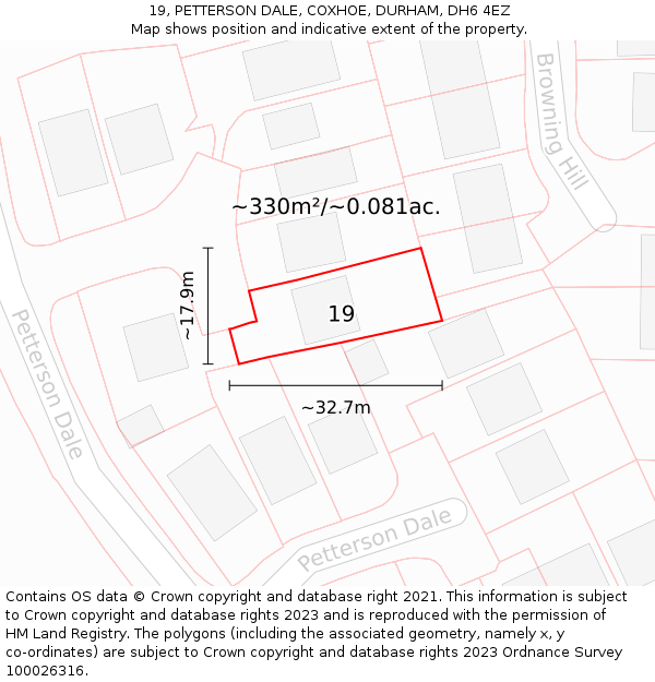 19, PETTERSON DALE, COXHOE, DURHAM, DH6 4EZ: Plot and title map
