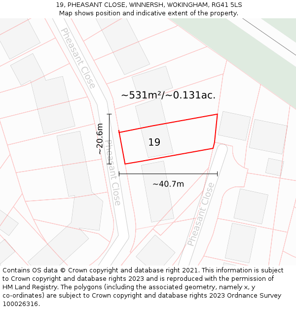19, PHEASANT CLOSE, WINNERSH, WOKINGHAM, RG41 5LS: Plot and title map