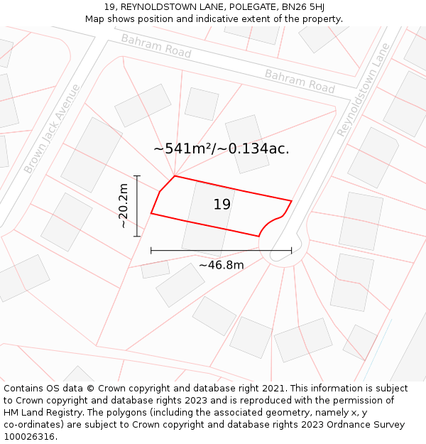 19, REYNOLDSTOWN LANE, POLEGATE, BN26 5HJ: Plot and title map
