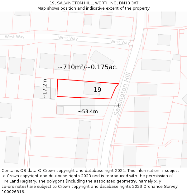 19, SALVINGTON HILL, WORTHING, BN13 3AT: Plot and title map