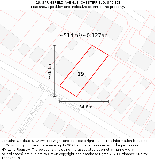 19, SPRINGFIELD AVENUE, CHESTERFIELD, S40 1DJ: Plot and title map