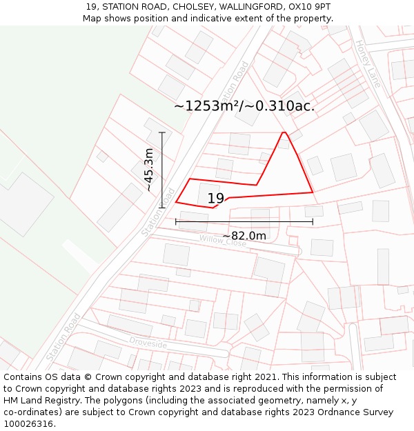 19, STATION ROAD, CHOLSEY, WALLINGFORD, OX10 9PT: Plot and title map