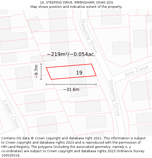 19, STEEPING DRIVE, IMMINGHAM, DN40 2DS: Plot and title map