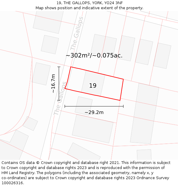 19, THE GALLOPS, YORK, YO24 3NF: Plot and title map