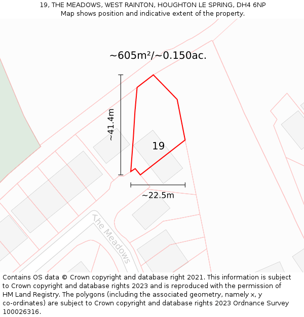 19, THE MEADOWS, WEST RAINTON, HOUGHTON LE SPRING, DH4 6NP: Plot and title map
