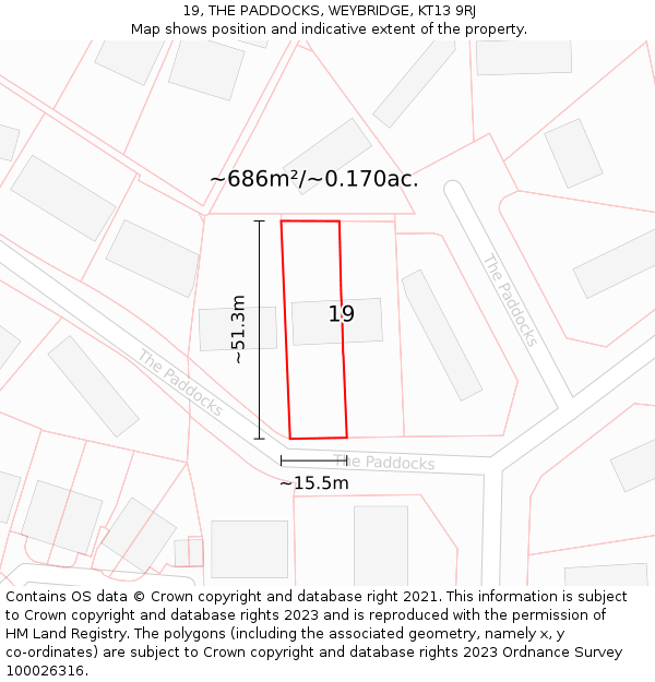 19, THE PADDOCKS, WEYBRIDGE, KT13 9RJ: Plot and title map