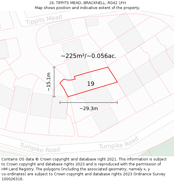 19, TIPPITS MEAD, BRACKNELL, RG42 1FH: Plot and title map