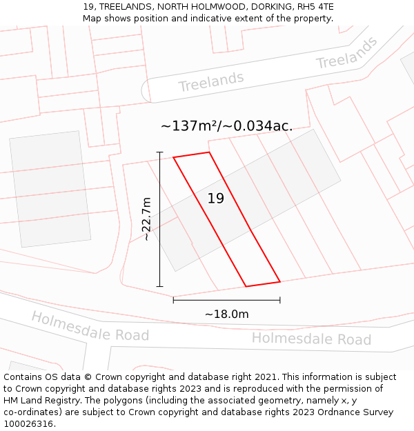 19, TREELANDS, NORTH HOLMWOOD, DORKING, RH5 4TE: Plot and title map