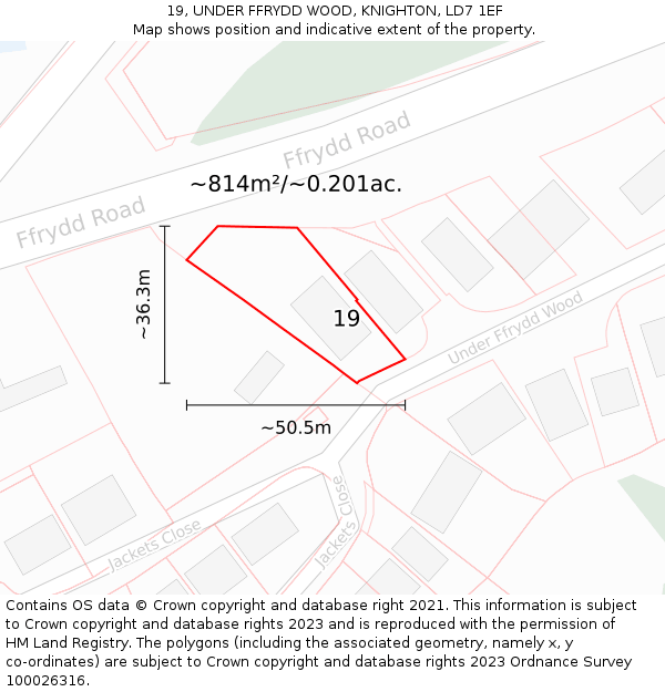 19, UNDER FFRYDD WOOD, KNIGHTON, LD7 1EF: Plot and title map