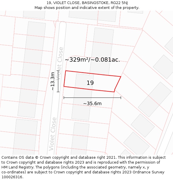 19, VIOLET CLOSE, BASINGSTOKE, RG22 5NJ: Plot and title map