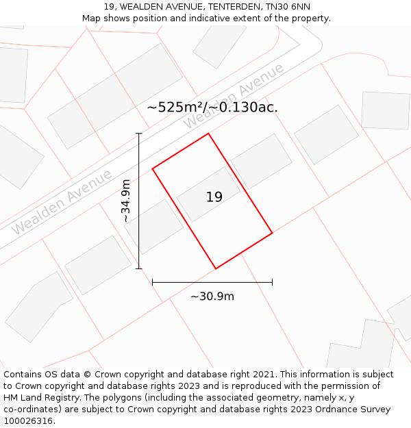 19, WEALDEN AVENUE, TENTERDEN, TN30 6NN: Plot and title map