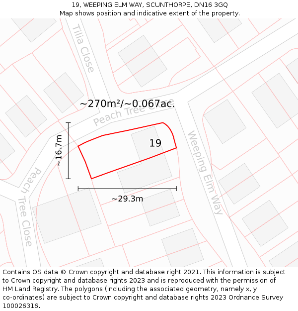 19, WEEPING ELM WAY, SCUNTHORPE, DN16 3GQ: Plot and title map