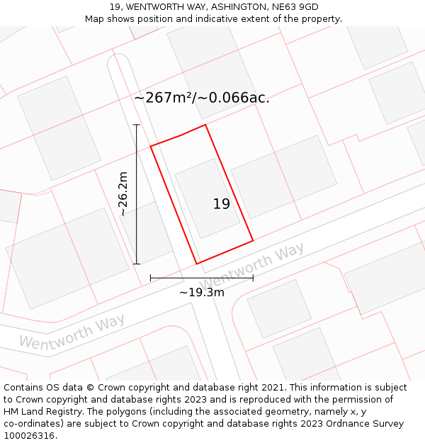 19, WENTWORTH WAY, ASHINGTON, NE63 9GD: Plot and title map