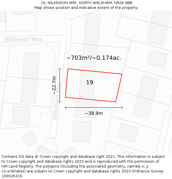 19, WILKINSON WAY, NORTH WALSHAM, NR28 9BB: Plot and title map