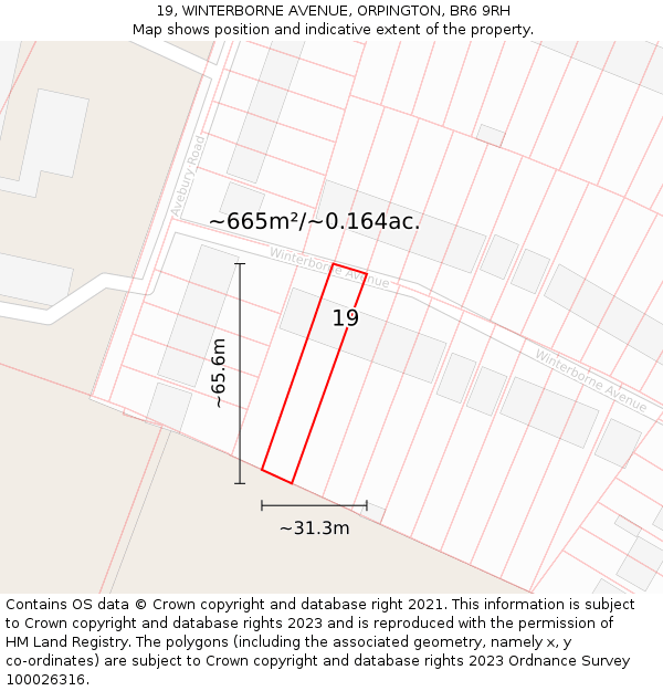19, WINTERBORNE AVENUE, ORPINGTON, BR6 9RH: Plot and title map