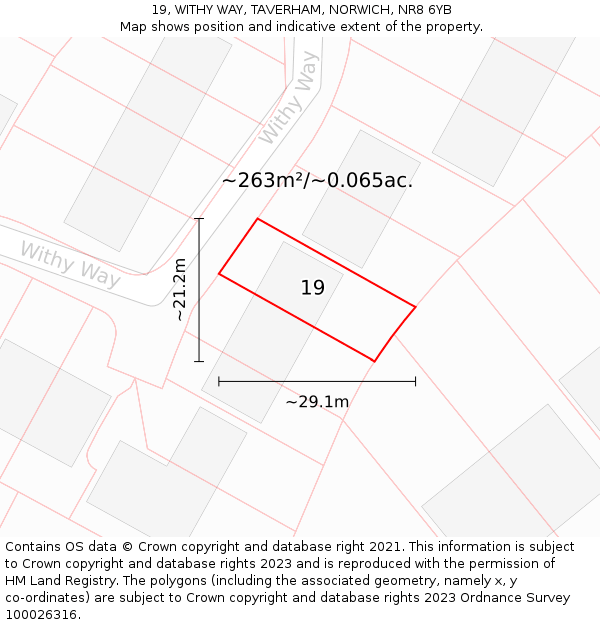 19, WITHY WAY, TAVERHAM, NORWICH, NR8 6YB: Plot and title map