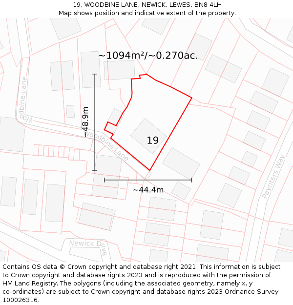 19, WOODBINE LANE, NEWICK, LEWES, BN8 4LH: Plot and title map