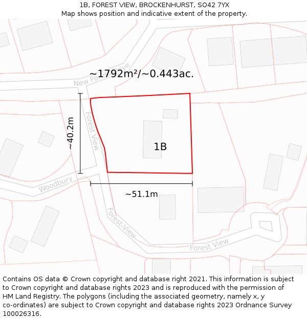 1B, FOREST VIEW, BROCKENHURST, SO42 7YX: Plot and title map