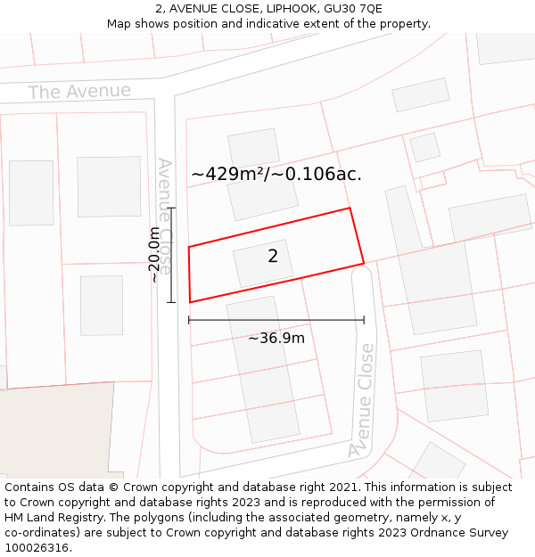2, AVENUE CLOSE, LIPHOOK, GU30 7QE: Plot and title map