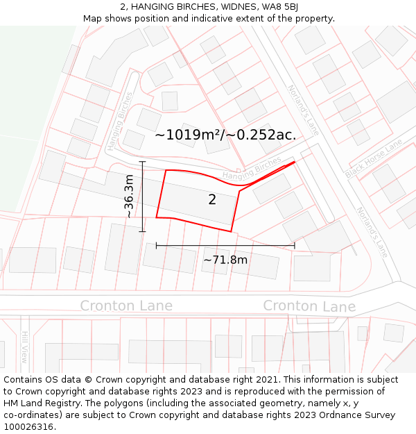 2, HANGING BIRCHES, WIDNES, WA8 5BJ: Plot and title map