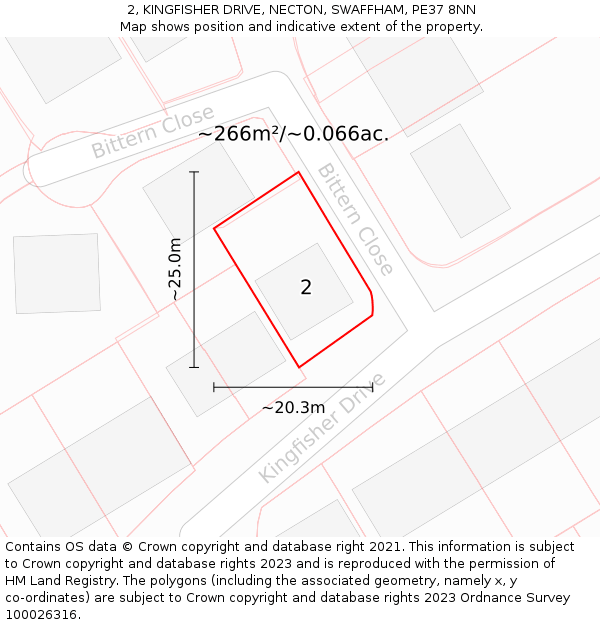2, KINGFISHER DRIVE, NECTON, SWAFFHAM, PE37 8NN: Plot and title map