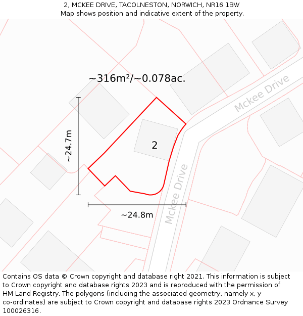 2, MCKEE DRIVE, TACOLNESTON, NORWICH, NR16 1BW: Plot and title map