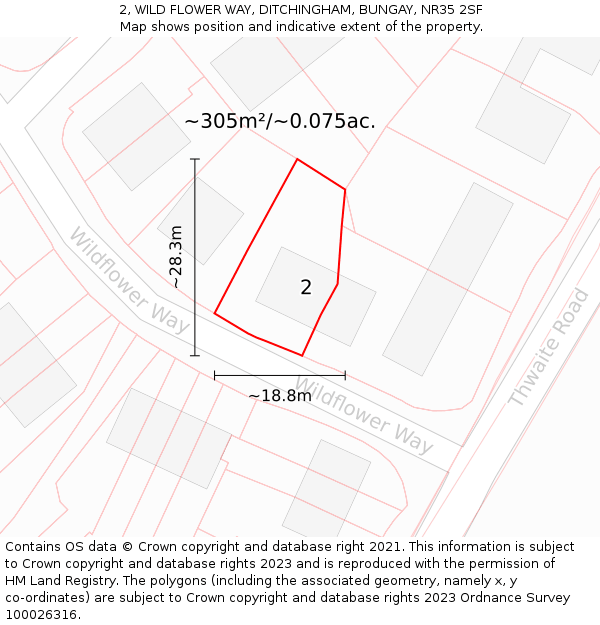 2, WILD FLOWER WAY, DITCHINGHAM, BUNGAY, NR35 2SF: Plot and title map