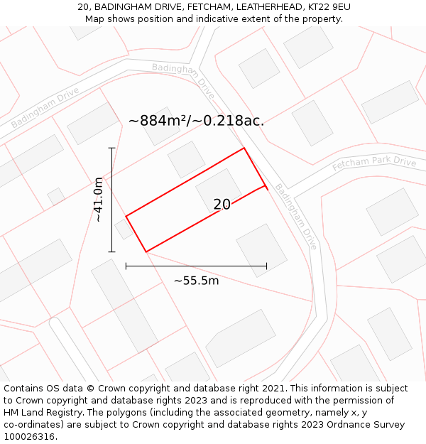 20, BADINGHAM DRIVE, FETCHAM, LEATHERHEAD, KT22 9EU: Plot and title map