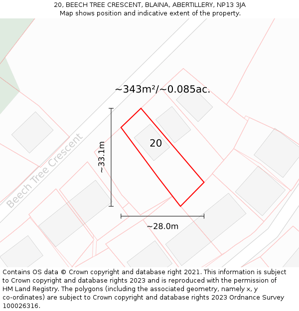 20, BEECH TREE CRESCENT, BLAINA, ABERTILLERY, NP13 3JA: Plot and title map