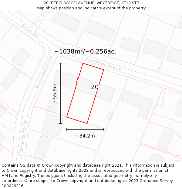 20, BEECHWOOD AVENUE, WEYBRIDGE, KT13 9TB: Plot and title map