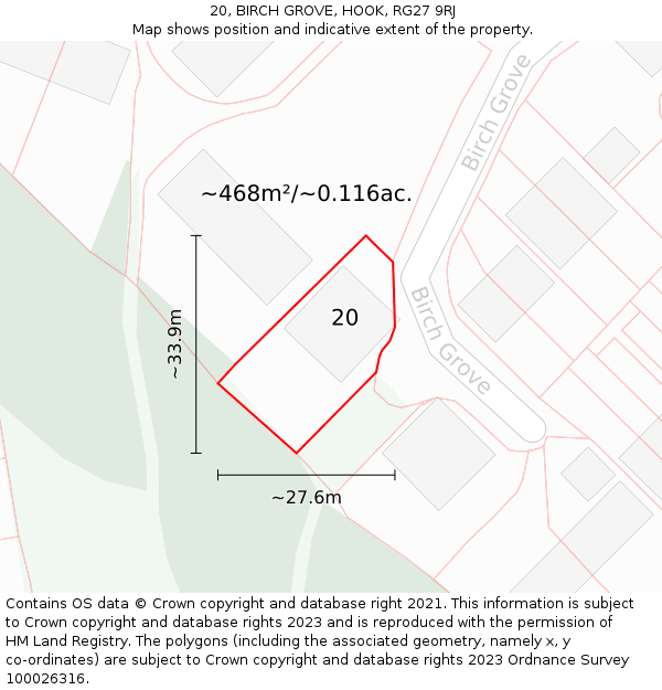 20, BIRCH GROVE, HOOK, RG27 9RJ: Plot and title map