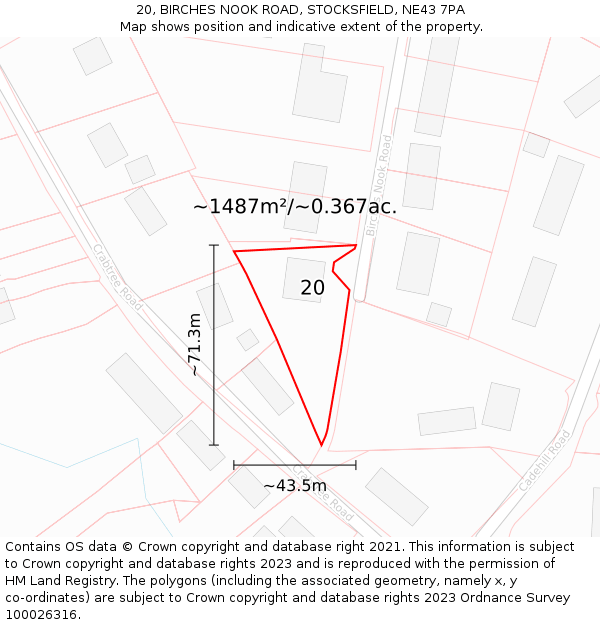 20, BIRCHES NOOK ROAD, STOCKSFIELD, NE43 7PA: Plot and title map