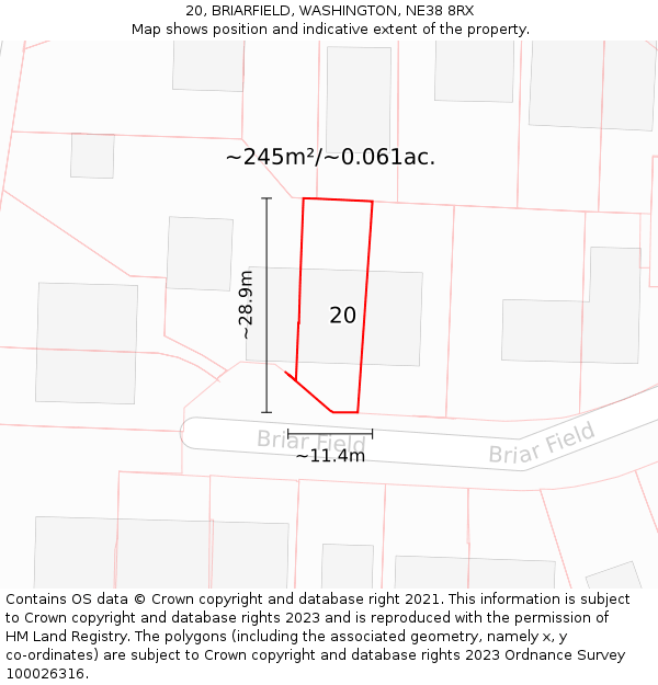 20, BRIARFIELD, WASHINGTON, NE38 8RX: Plot and title map