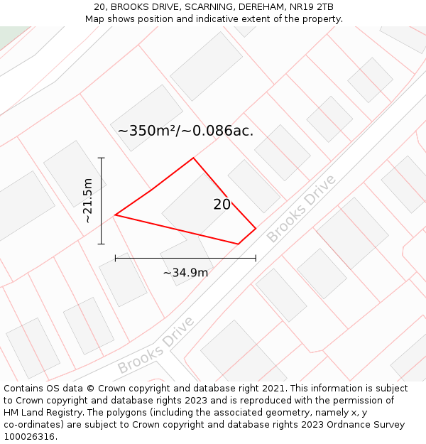 20, BROOKS DRIVE, SCARNING, DEREHAM, NR19 2TB: Plot and title map